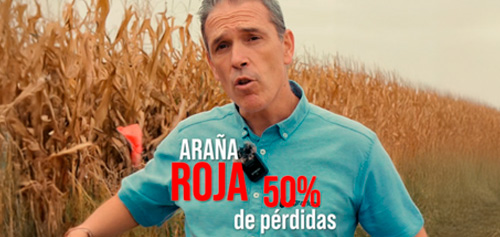 REEL VIDEO FOTOS DOS ESFERAS V3